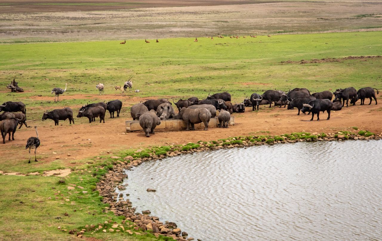 Serengeti & Ngorongoro Circuit